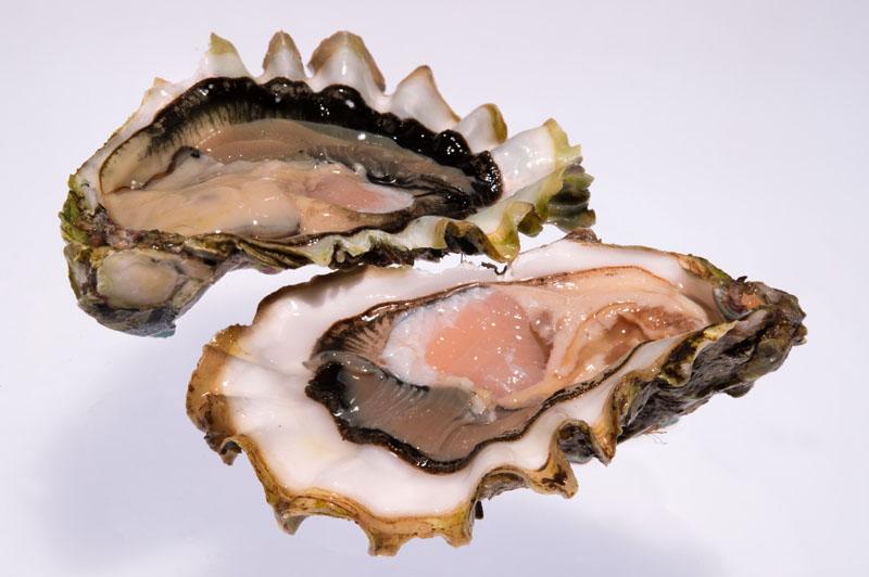 Устрица 400-500 г. шт.